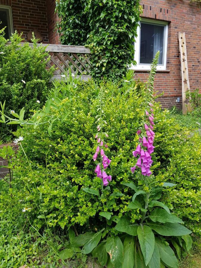 Ferienwohnung Im Naturgarten Schneverdingen Zewnętrze zdjęcie